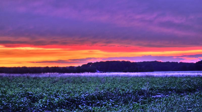 2009_07_17_Abend (11)_9)_10).jpg - Sonnenuntergang 